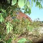 Le Dome Atypique Luxueux Et écologique Villa
